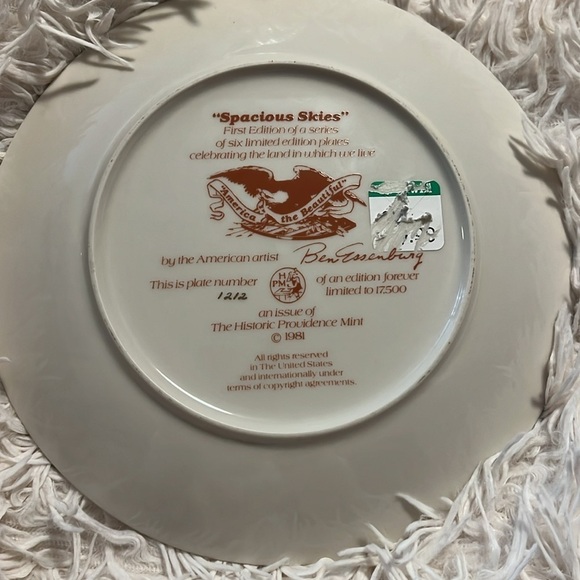 Spacious skies collective plate - Picture 2 of 2